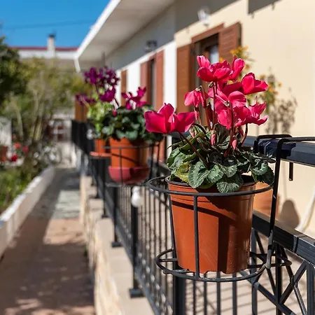 Maria's House! Kos